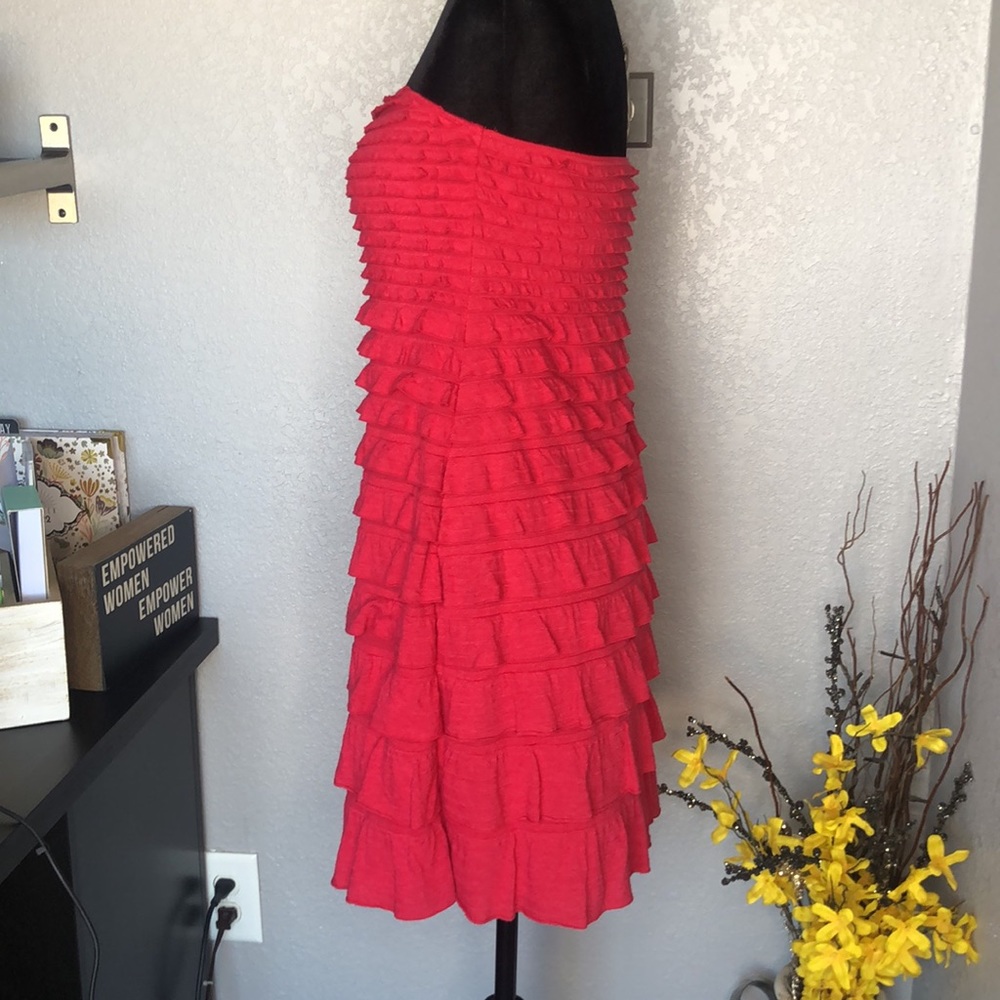 Express Pink Ruffle Dress - Picture 4 of 8